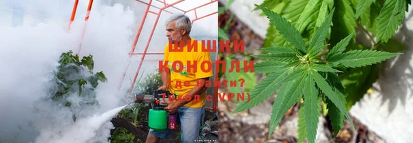 a pvp Корсаков