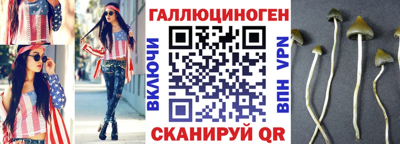 Купить  Вуктыл  Галлюциногенные грибы Psilocybe 